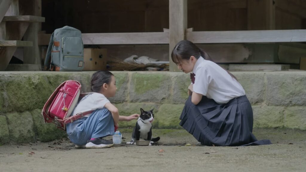 mieru-TVで視聴できる話題の新作映画「猫と私と、もう一人のネコ」